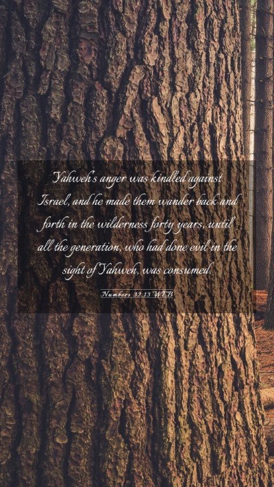 Picture 03 - Numbers 32:13 WEB Mobile Phone Wallpaper - Yahweh's anger was kindled against Israel, and he - Mobile Bible Verse Wallpaper