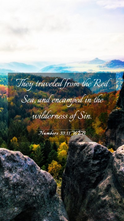 Picture 03 - Numbers 33:11 WEB Mobile Phone Wallpaper - They traveled from the Red Sea, and encamped in - Mobile Bible Verse Wallpaper