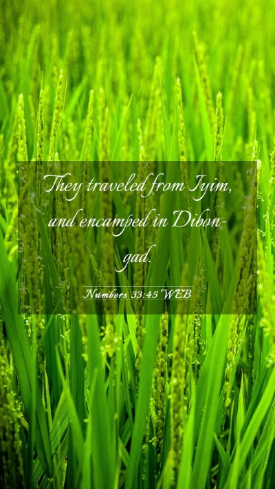 Picture 03 - Numbers 33:45 WEB Mobile Phone Wallpaper - They traveled from Iyim, and encamped in - Mobile Bible Verse Wallpaper