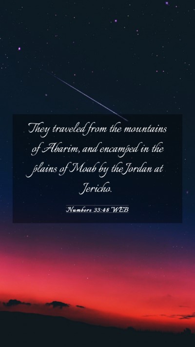 Picture 03 - Numbers 33:48 WEB Mobile Phone Wallpaper - They traveled from the mountains of Abarim, and - Mobile Bible Verse Wallpaper