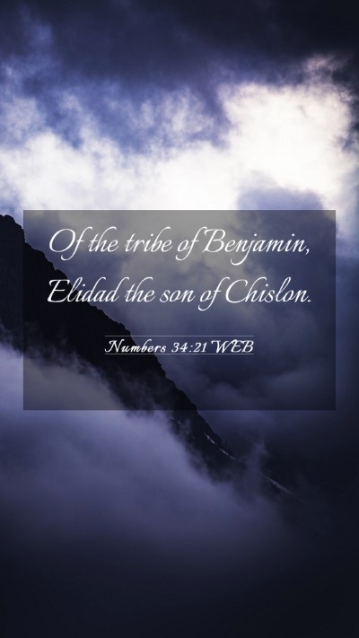 Picture 03 - Numbers 34:21 WEB Mobile Phone Wallpaper - Of the tribe of Benjamin, Elidad the son of - Mobile Bible Verse Wallpaper