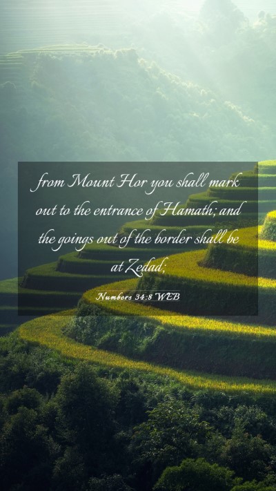 Picture 03 - Numbers 34:8 WEB Mobile Phone Wallpaper - from Mount Hor you shall mark out to the entrance - Mobile Bible Verse Wallpaper