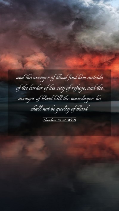 Picture 03 - Numbers 35:27 WEB Mobile Phone Wallpaper - and the avenger of blood find him outside of the - Mobile Bible Verse Wallpaper