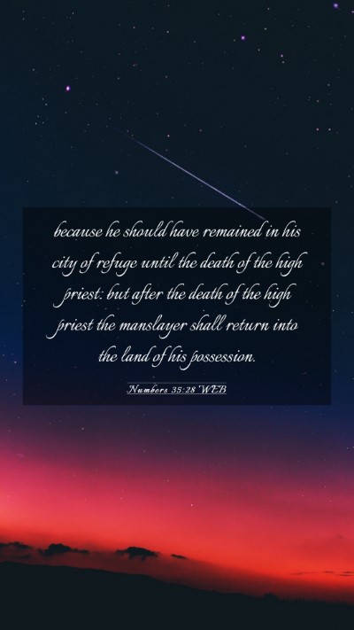 Picture 03 - Numbers 35:28 WEB Mobile Phone Wallpaper - because he should have remained in his city of - Mobile Bible Verse Wallpaper