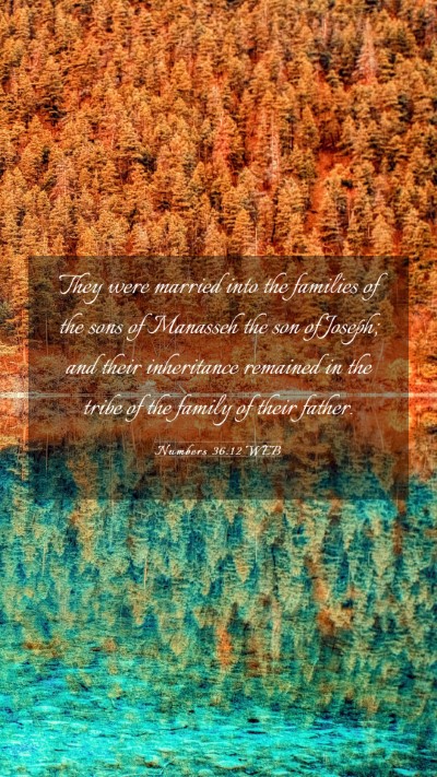 Picture 03 - Numbers 36:12 WEB Mobile Phone Wallpaper - They were married into the families of the sons - Mobile Bible Verse Wallpaper