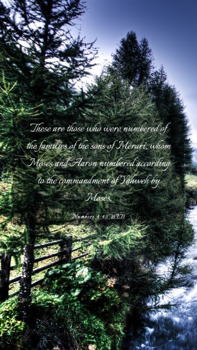 Picture 03 - Numbers 4:45 WEB Mobile Phone Wallpaper - These are those who were numbered of the families - Mobile Bible Verse Wallpaper
