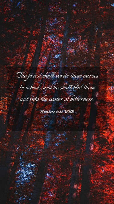 Picture 03 - Numbers 5:23 WEB Mobile Phone Wallpaper - 