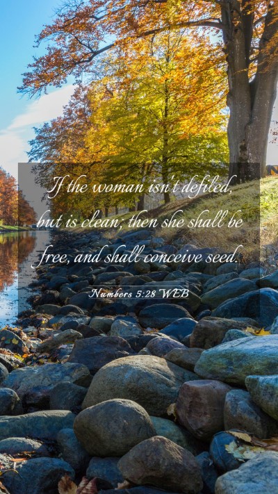 Picture 03 - Numbers 5:28 WEB Mobile Phone Wallpaper - If the woman isn't defiled, but is clean; then - Mobile Bible Verse Wallpaper