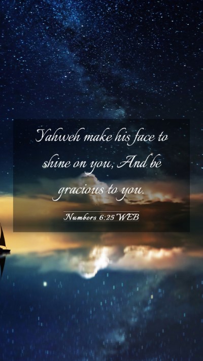 Picture 03 - Numbers 6:25 WEB Mobile Phone Wallpaper - Yahweh make his face to shine on you, And be - Mobile Bible Verse Wallpaper