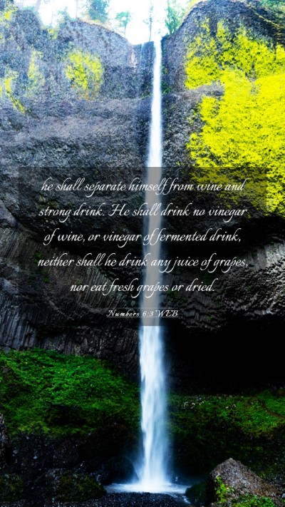 Picture 03 - Numbers 6:3 WEB Mobile Phone Wallpaper - he shall separate himself from wine and strong - Mobile Bible Verse Wallpaper