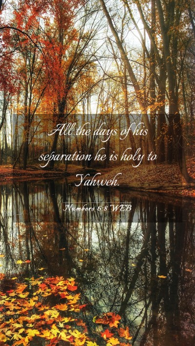 Picture 03 - Numbers 6:8 WEB Mobile Phone Wallpaper - All the days of his separation he is holy to - Mobile Bible Verse Wallpaper