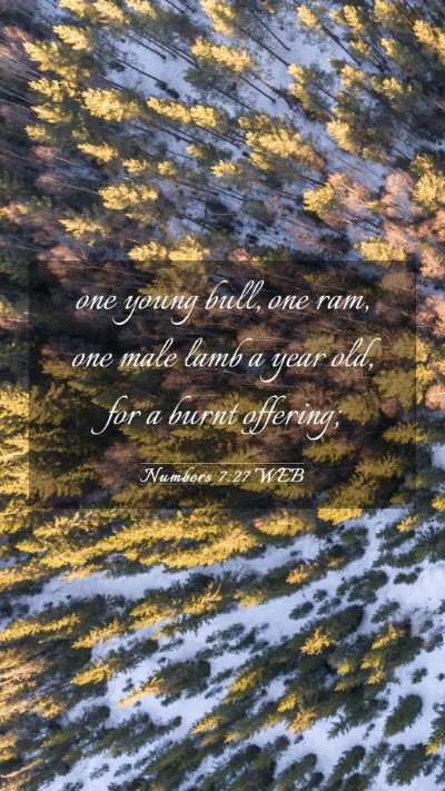Picture 03 - Numbers 7:27 WEB Mobile Phone Wallpaper - one young bull, one ram, one male lamb a year - Mobile Bible Verse Wallpaper