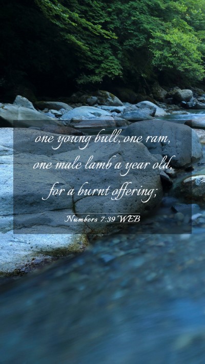 Picture 03 - Numbers 7:39 WEB Mobile Phone Wallpaper - one young bull, one ram, one male lamb a year - Mobile Bible Verse Wallpaper