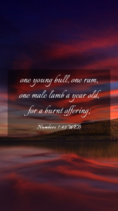 Picture 03 - Numbers 7:45 WEB Mobile Phone Wallpaper - one young bull, one ram, one male lamb a year - Mobile Bible Verse Wallpaper