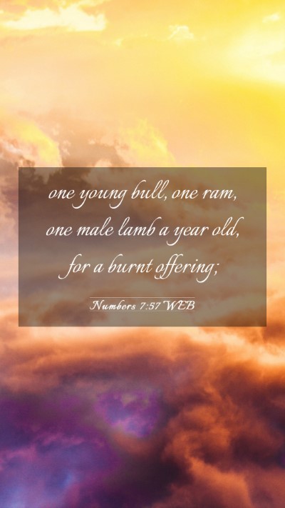 Picture 03 - Numbers 7:57 WEB Mobile Phone Wallpaper - one young bull, one ram, one male lamb a year - Mobile Bible Verse Wallpaper