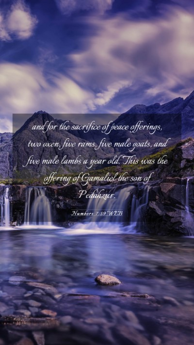Picture 03 - Numbers 7:59 WEB Mobile Phone Wallpaper - and for the sacrifice of peace offerings, two - Mobile Bible Verse Wallpaper