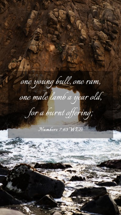 Picture 03 - Numbers 7:63 WEB Mobile Phone Wallpaper - one young bull, one ram, one male lamb a year - Mobile Bible Verse Wallpaper