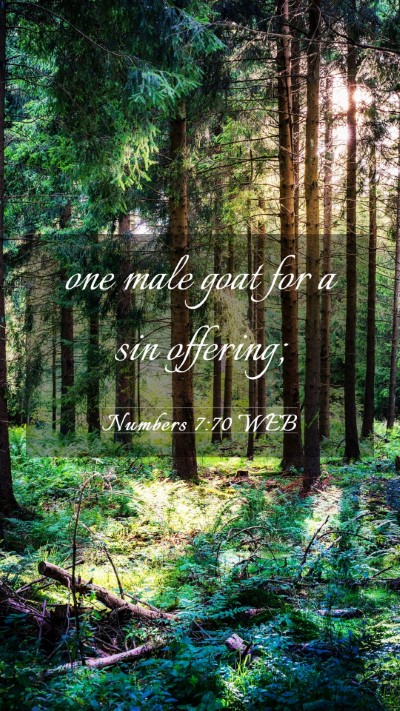 Picture 03 - Numbers 7:70 WEB Mobile Phone Wallpaper - one male goat for a sin - Mobile Bible Verse Wallpaper