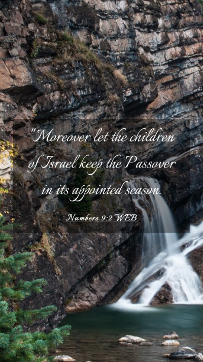 Picture 03 - Numbers 9:2 WEB Mobile Phone Wallpaper - 