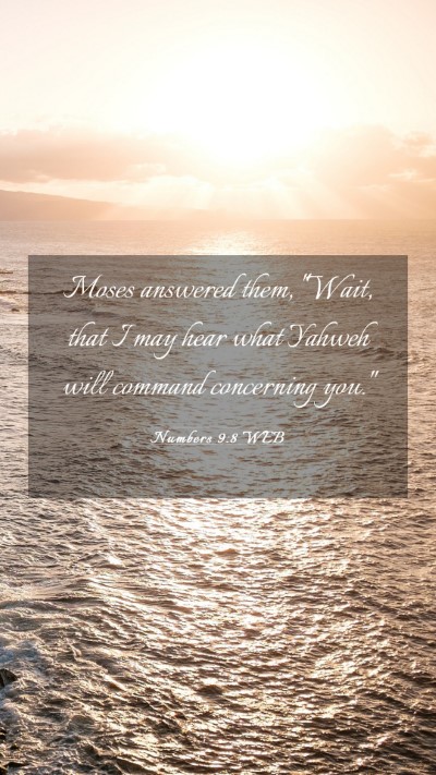 Picture 03 - Numbers 9:8 WEB Mobile Phone Wallpaper - Moses answered them, 