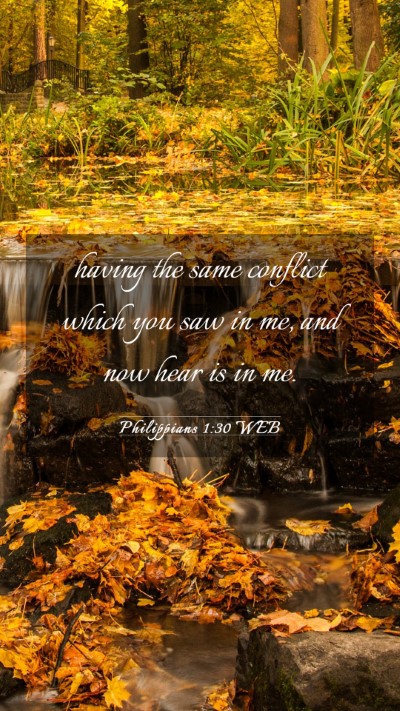 Picture 03 - Philippians 1:30 WEB Mobile Phone Wallpaper - having the same conflict which you saw in me, and - Mobile Bible Verse Wallpaper