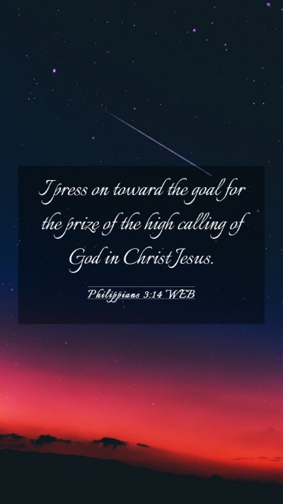 Picture 03 - Philippians 3:14 WEB Mobile Phone Wallpaper - I press on toward the goal for the prize of the - Mobile Bible Verse Wallpaper