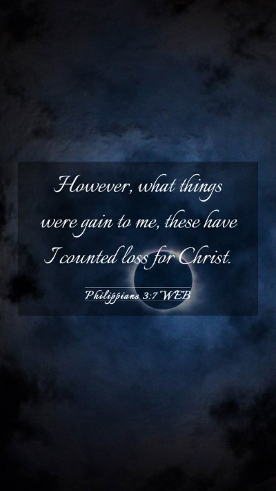 Picture 03 - Philippians 3:7 WEB Mobile Phone Wallpaper - However, what things were gain to me, these have - Mobile Bible Verse Wallpaper