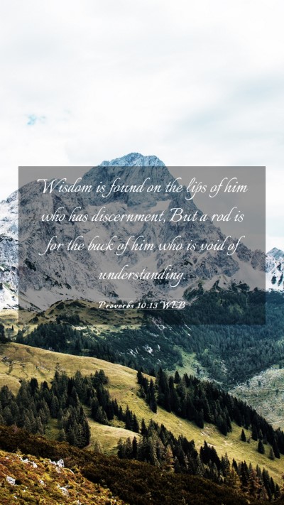 Picture 03 - Proverbs 10:13 WEB Mobile Phone Wallpaper - Wisdom is found on the lips of him who has - Mobile Bible Verse Wallpaper