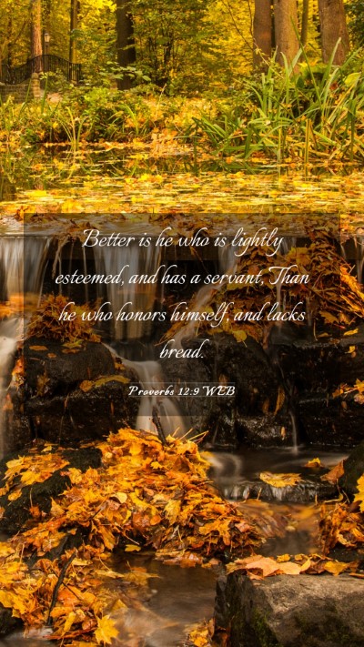 Picture 03 - Proverbs 12:9 WEB Mobile Phone Wallpaper - Better is he who is lightly esteemed, and has a - Mobile Bible Verse Wallpaper