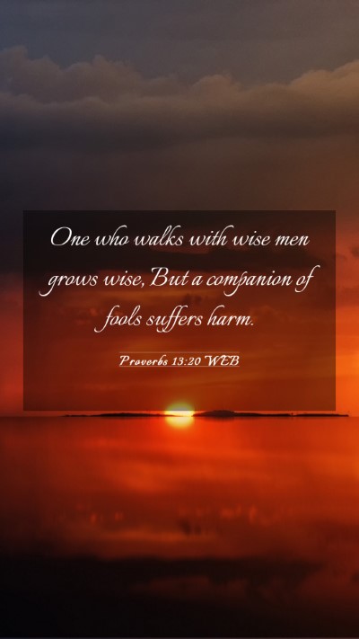 Picture 03 - Proverbs 13:20 WEB Mobile Phone Wallpaper - One who walks with wise men grows wise, But a - Mobile Bible Verse Wallpaper
