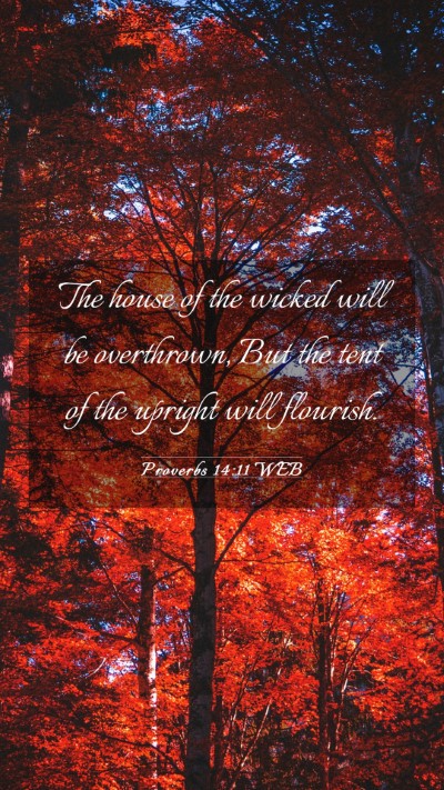 Picture 03 - Proverbs 14:11 WEB Mobile Phone Wallpaper - The house of the wicked will be overthrown, But - Mobile Bible Verse Wallpaper