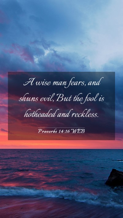Picture 03 - Proverbs 14:16 WEB Mobile Phone Wallpaper - A wise man fears, and shuns evil, But the fool is - Mobile Bible Verse Wallpaper