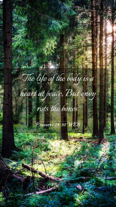 Picture 03 - Proverbs 14:30 WEB Mobile Phone Wallpaper - The life of the body is a heart at peace, But - Mobile Bible Verse Wallpaper