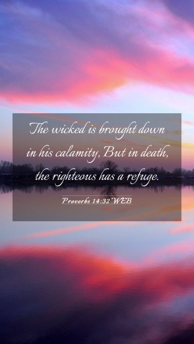 Picture 03 - Proverbs 14:32 WEB Mobile Phone Wallpaper - The wicked is brought down in his calamity, But - Mobile Bible Verse Wallpaper
