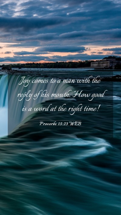 Picture 03 - Proverbs 15:23 WEB Mobile Phone Wallpaper - Joy comes to a man with the reply of his mouth. - Mobile Bible Verse Wallpaper