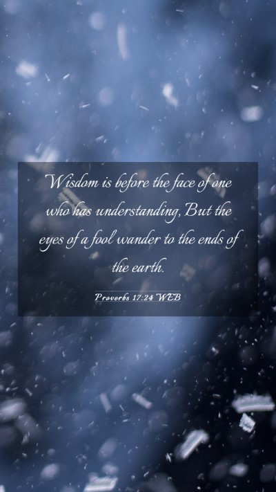 Picture 03 - Proverbs 17:24 WEB Mobile Phone Wallpaper - Wisdom is before the face of one who has - Mobile Bible Verse Wallpaper