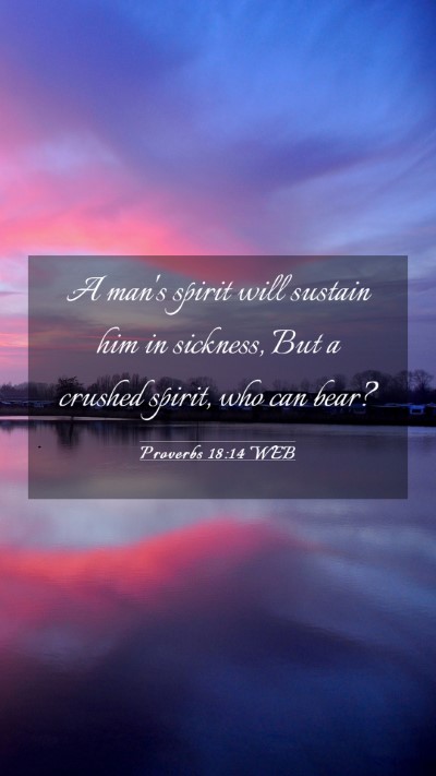 Picture 03 - Proverbs 18:14 WEB Mobile Phone Wallpaper - A man's spirit will sustain him in sickness, But - Mobile Bible Verse Wallpaper