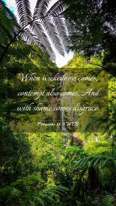 Picture 03 - Proverbs 18:3 WEB Mobile Phone Wallpaper - When wickedness comes, contempt also comes, And - Mobile Bible Verse Wallpaper