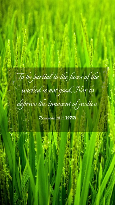 Picture 03 - Proverbs 18:5 WEB Mobile Phone Wallpaper - To be partial to the faces of the wicked is not - Mobile Bible Verse Wallpaper