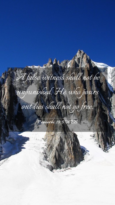 Picture 03 - Proverbs 19:5 WEB Mobile Phone Wallpaper - A false witness shall not be unpunished. He who - Mobile Bible Verse Wallpaper