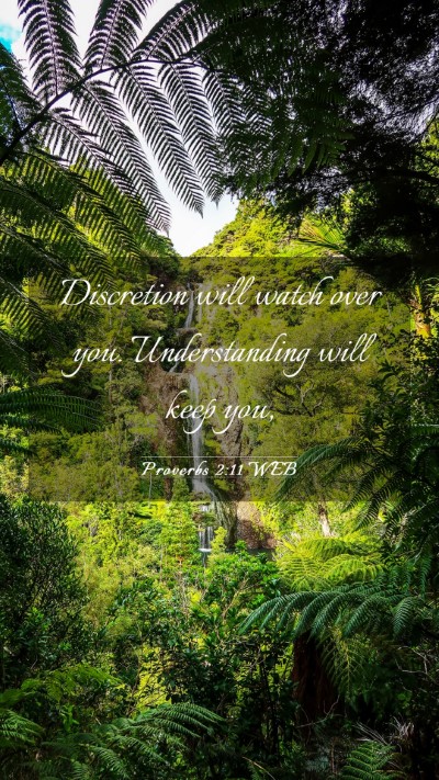Picture 03 - Proverbs 2:11 WEB Mobile Phone Wallpaper - Discretion will watch over you. Understanding - Mobile Bible Verse Wallpaper
