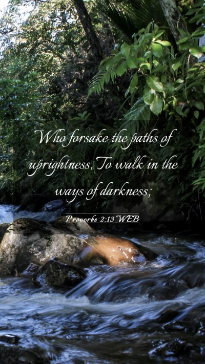 Picture 03 - Proverbs 2:13 WEB Mobile Phone Wallpaper - Who forsake the paths of uprightness, To walk in - Mobile Bible Verse Wallpaper