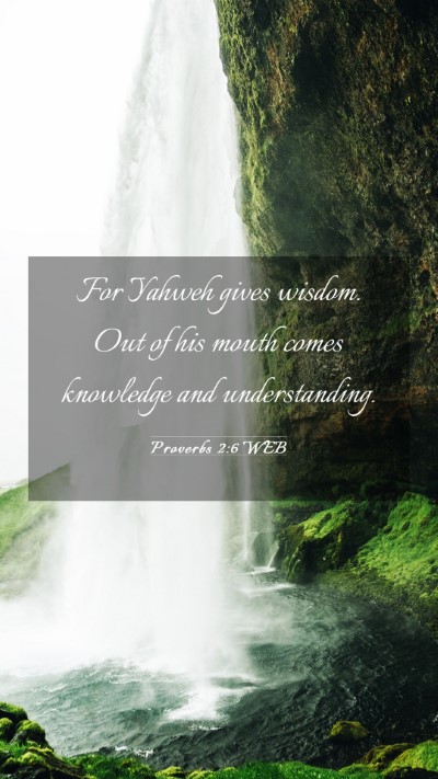 Picture 03 - Proverbs 2:6 WEB Mobile Phone Wallpaper - For Yahweh gives wisdom. Out of his mouth comes - Mobile Bible Verse Wallpaper