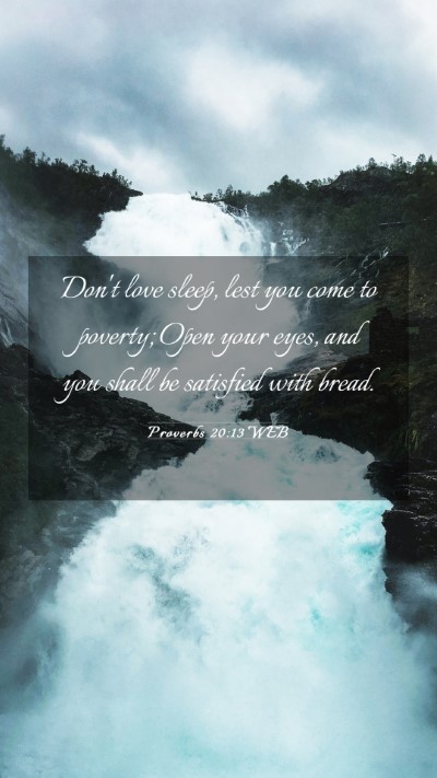 Picture 03 - Proverbs 20:13 WEB Mobile Phone Wallpaper - Don't love sleep, lest you come to poverty; Open - Mobile Bible Verse Wallpaper