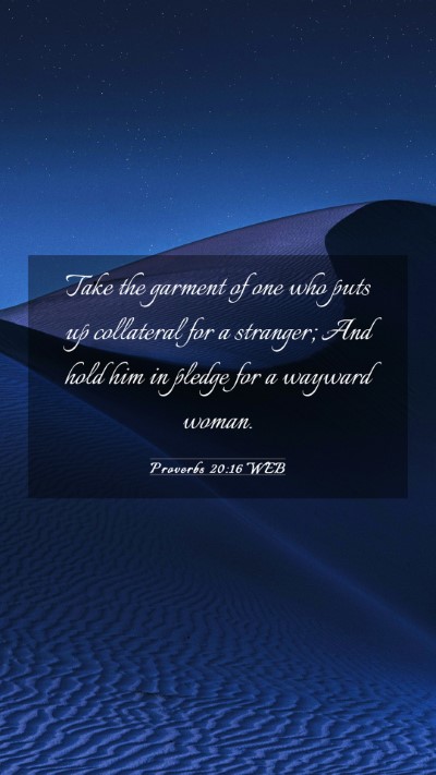 Picture 03 - Proverbs 20:16 WEB Mobile Phone Wallpaper - Take the garment of one who puts up collateral - Mobile Bible Verse Wallpaper