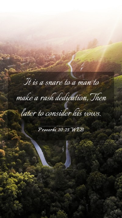Picture 03 - Proverbs 20:25 WEB Mobile Phone Wallpaper - It is a snare to a man to make a rash dedication, - Mobile Bible Verse Wallpaper