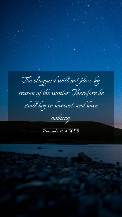 Picture 03 - Proverbs 20:4 WEB Mobile Phone Wallpaper - The sluggard will not plow by reason of the - Mobile Bible Verse Wallpaper