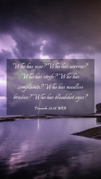 Picture 03 - Proverbs 23:29 WEB Mobile Phone Wallpaper - Who has woe? Who has sorrow? Who has strife? Who - Mobile Bible Verse Wallpaper