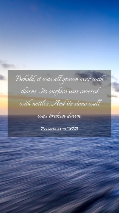 Picture 03 - Proverbs 24:31 WEB Mobile Phone Wallpaper - Behold, it was all grown over with thorns. Its - Mobile Bible Verse Wallpaper