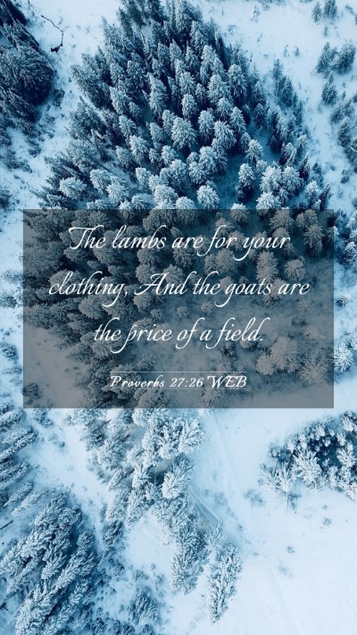 Picture 03 - Proverbs 27:26 WEB Mobile Phone Wallpaper - The lambs are for your clothing, And the goats - Mobile Bible Verse Wallpaper